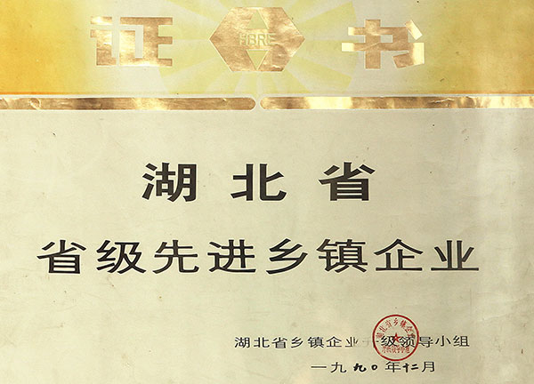 省級(jí)先進(jìn)鄉(xiāng)鎮(zhèn)企業(yè)