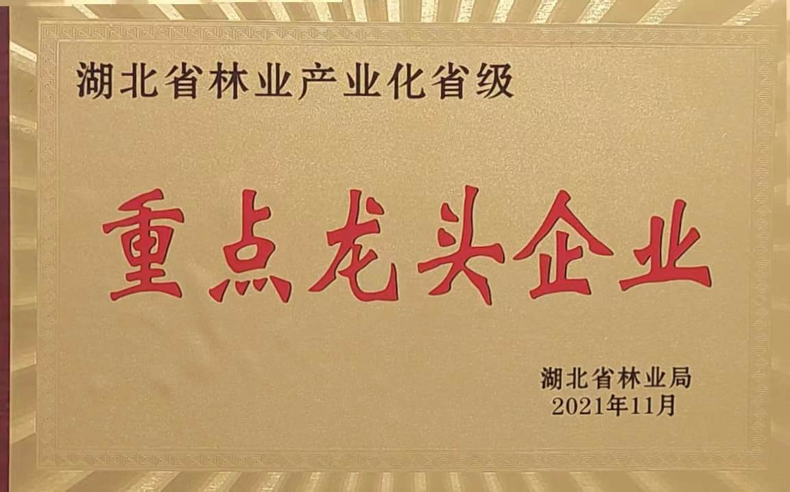 省林業(yè)產(chǎn)業(yè)化重點(diǎn)龍頭企業(yè)（2021）